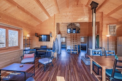 642 Copper Ridge Rd, Eidson, TN 37731 - photo 3