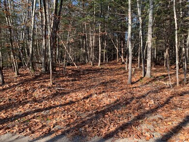 Lot 18 Old Cluff Rd, Kennebunkport, ME 04046 - photo 5
