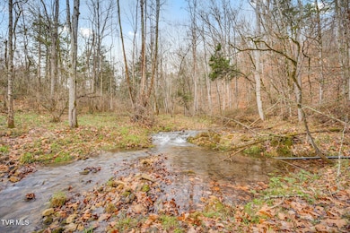 2309 Shavers Ford Rd, Jonesville, VA 24263 - photo 5