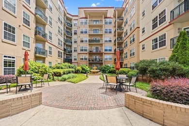 Court yard garden