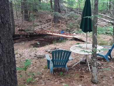 483 Cramm Rd, Parsonsfield, ME 04047 - photo 4