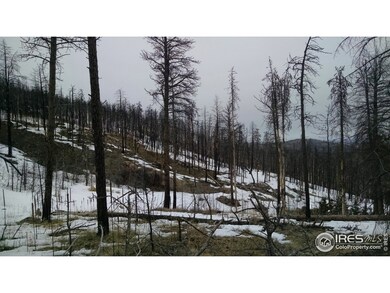 0 Davis Ranch Rd unit 784426, Bellvue, CO 80512 - photo 2
