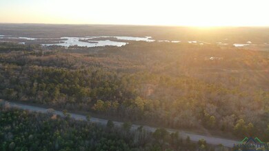Drone / aerial view featuring a water view and a w