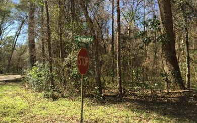 .TBD Bumble St, Fort White, FL 32038 - photo 3