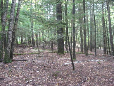 23 Wetherbee Rd, Lyman, NH 03585 - photo 7