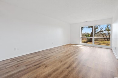 312 Salt Marsh Cir unit 6B, Pawleys Island, SC 29585 - photo 3