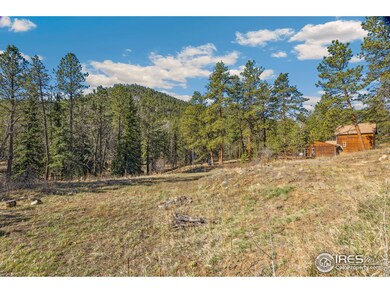 755 Fox Creek Rd, Glen Haven, CO 80532 - photo 7