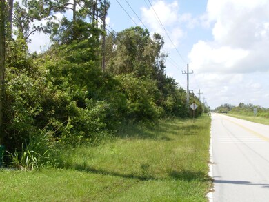 View towards the west