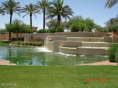 Ocotillo