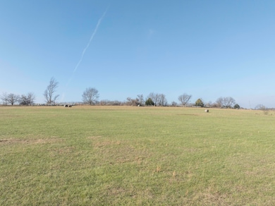 33 Ac U S 160, Greenfield, MO 65661 - photo 6