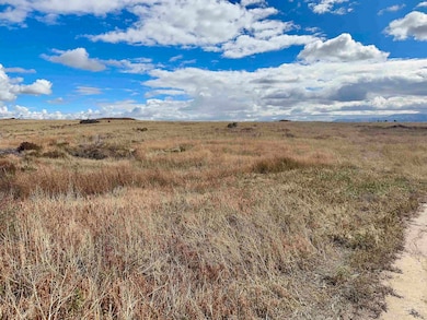 View of local wilderness with rural landscape