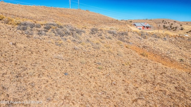 DJI_0318