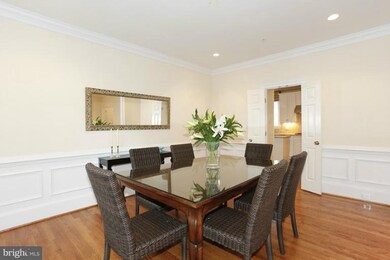 4510 Rosedale Ave, Bethesda, MD 20814 - photo 3