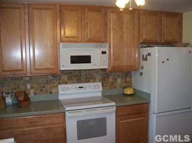 2992 Sleepy Hollow Rd unit 2162, Athens, NY 12015 - photo 6