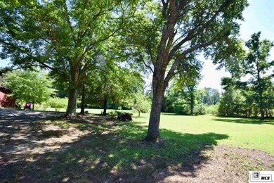 731 New Hope Rd, Choudrant, LA 71227 - photo 4