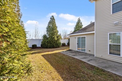 6 BACK YARD