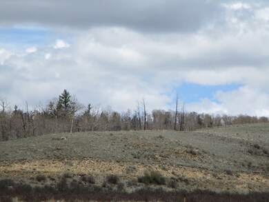 1202 Superstition Trail, Hartsel, CO 80449 - photo 4