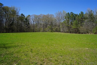 200 Old Barnes Rd, Pine Level, AL 36065 - photo 2