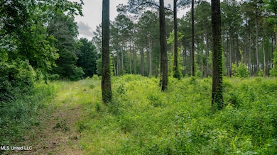 52 Acre-Lauderdale-MWLG-03
