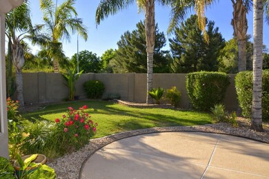 Back yard grass
