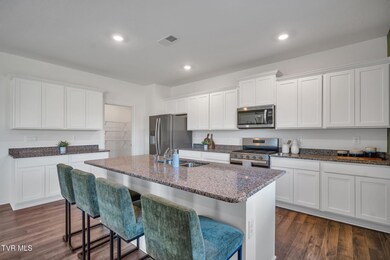 249 Artist Ave, Johnson City, TN 37615 - photo 4