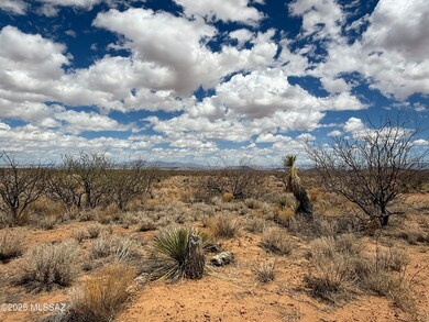 IMG_0120 (1)