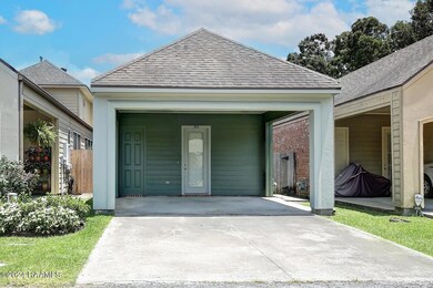 203Flamingo-2