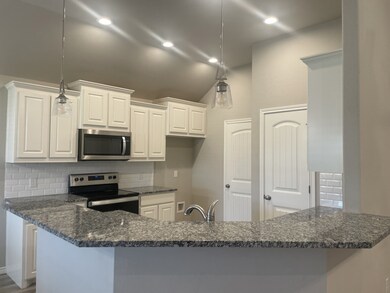 3328 Arrow Creek Dr, Granbury, TX 76049 - photo 2