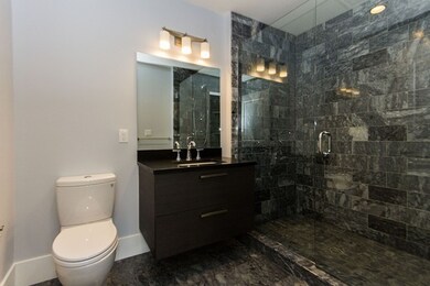 10 Saint George St unit 302, Boston, MA 02118 - photo 6