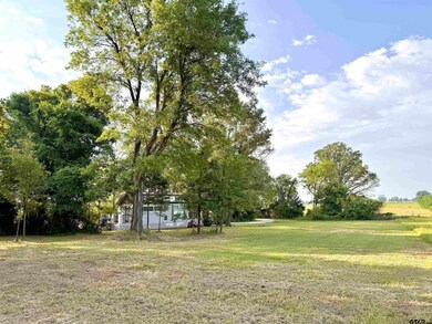 3235 County Rd 3365, Cookville, TX 75558 - photo 4