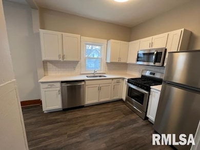 1117 E Colorado St, Davenport, IA 52803 - photo 4