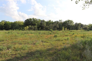 0 Massey Ranch Rd, Manvel, TX 77578 - photo 3