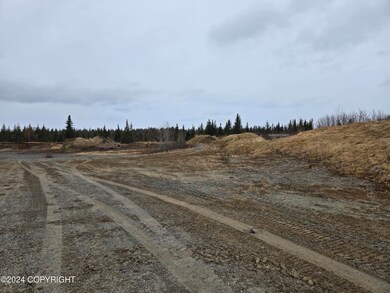 27180 Cloyds Rd, Happy Valley, AK 99556 - photo 3