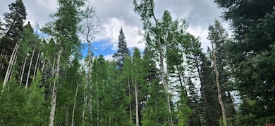 454 Mccoy Creek Dr, Durango, CO 81301 - photo 4