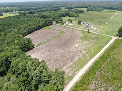 TBD Highway 308 unit Lot 7, Galivants Ferry, SC 29544 - photo 2