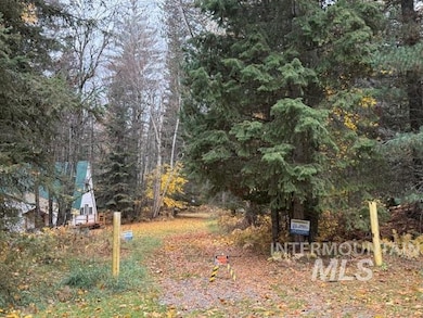 View of yard with a forest view