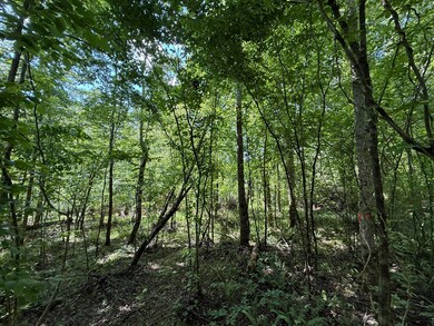 300 Hwy 378 W, Edgefield, SC 29824 - photo 2