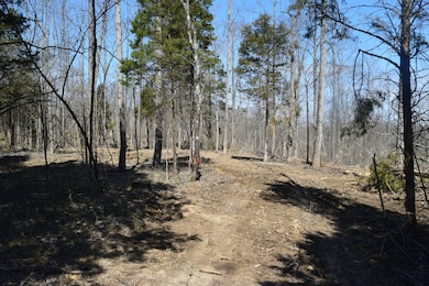 000000 Sawmill Rd, English, IN 47118 - photo 2