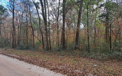 TBD Bumble St, Fort White, FL 32038 - photo 5