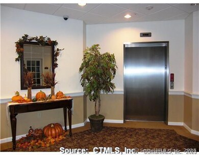 171 Laurel St unit 429, Bristol, CT 06010 - photo 6