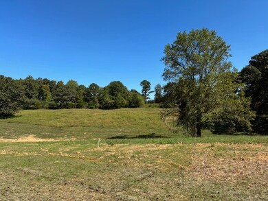 0 Hunziker Ln unit RTC2785101, Fairview, TN 37062 - photo 4