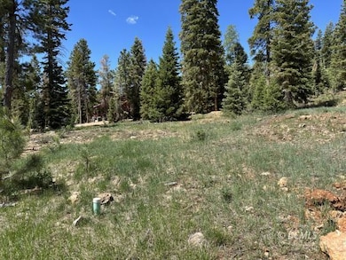 1065 E Redwood Rd, Duck Creek Village, UT 84762 - photo 3