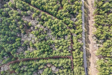 0 E Hickory Bow Ln unit 69902885, Waller, TX 77445 - photo 4