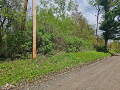 #16 Jenks Rd, Cheshire, MA 01225 - photo 3