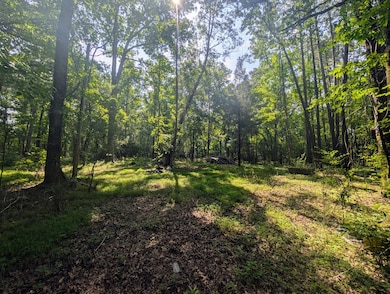 PXL_20250529_141509061