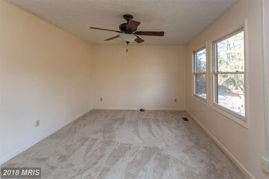 368 Sandpiper Dr, Basye, VA 22810 - photo 7