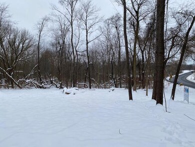 V/L E South Ave, Vicksburg, MI 49097 - photo 4