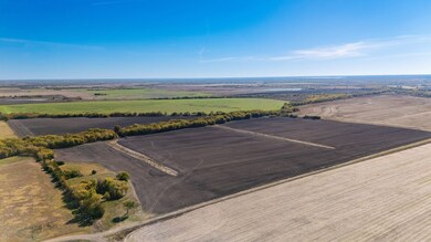 000 Cr 3140, Cooper, TX 75469 - photo 3