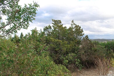 11210 Condor Pass, Helotes, TX 78023 - photo 3