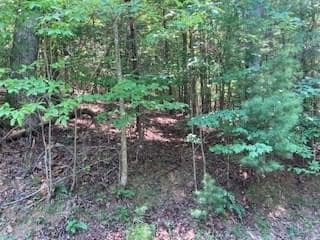 Lt 914 Villa Dr, Ellijay, GA 30540 - photo 4